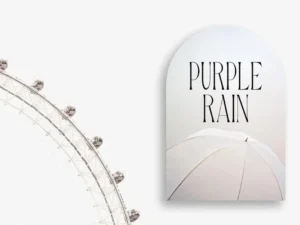 carola modern serif 5