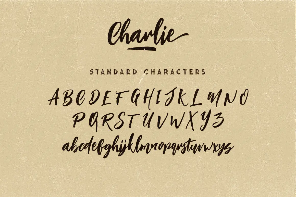 Charlie 4 charlie 4