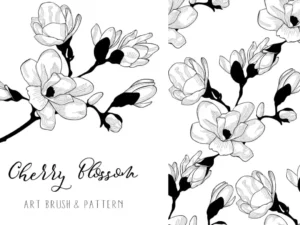 cherry blossom floral design element art brush