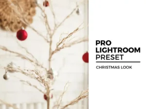 christmas look lightroom preset
