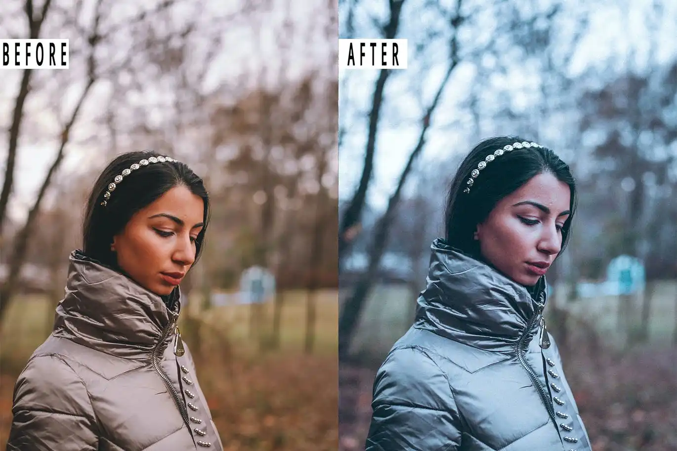 Cinematic Portrait Presets Mobile & Desktop 4 cinematic portrait presets mobile desktop