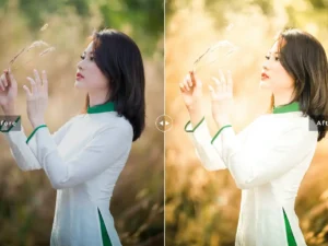 citrine mobile desktop lightroom presets