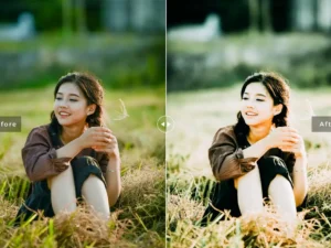 citron mobile desktop lightroom presets 5