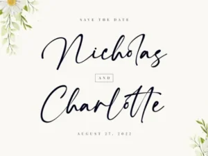 constaller script font 3