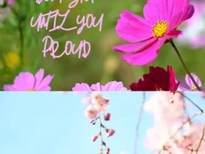 creative fonts bundle 5 fonts