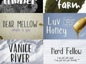 creativemarket the font box mini