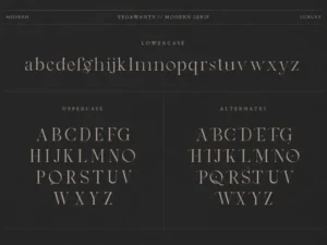 creatype studio vegawanty modern serif 5