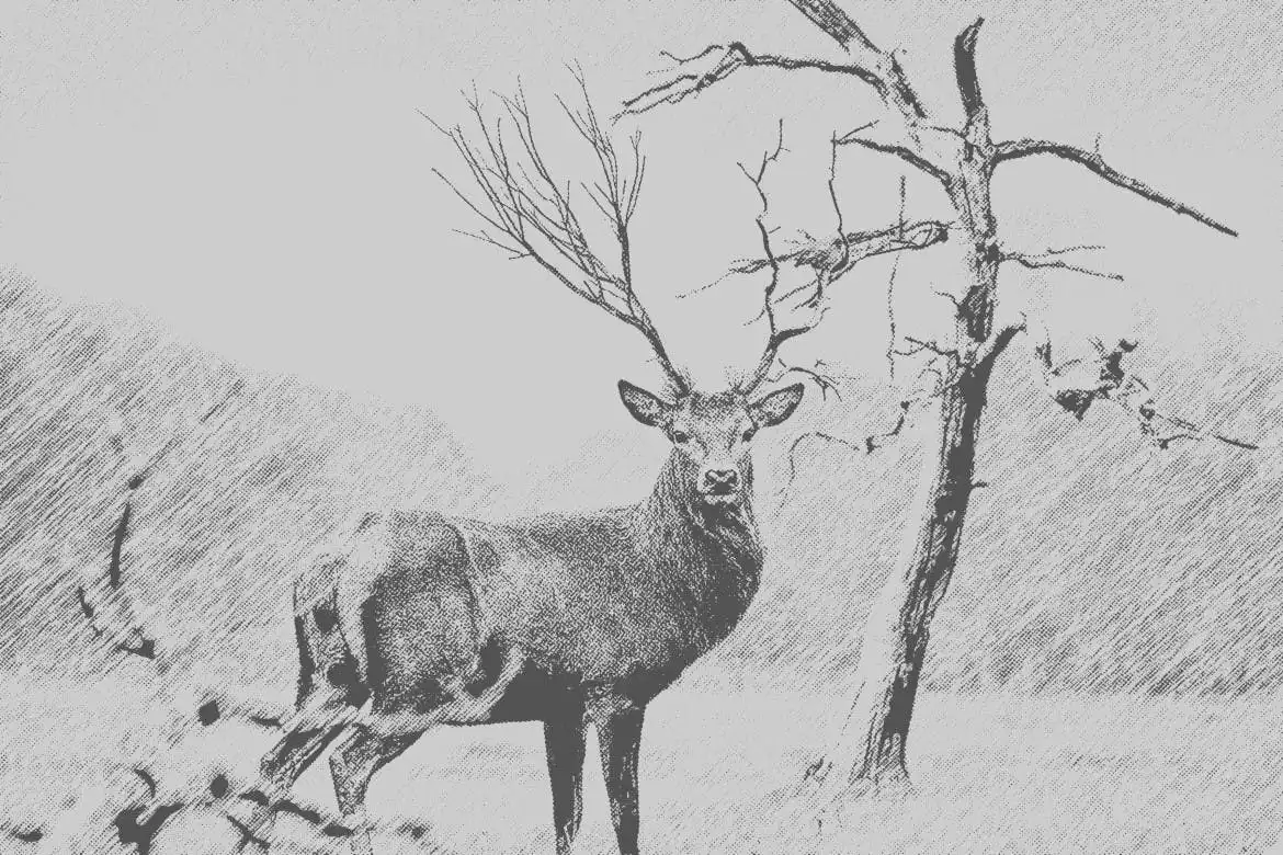 Crooked Halftone Photo Effect 3 crooked halftone photo effect 3
