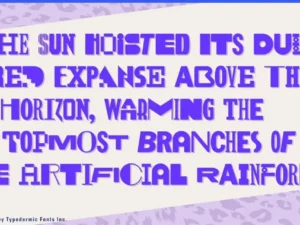 cybermontage font by ray larabie 4