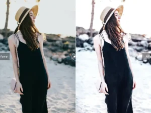 daphne mobile desktop lightroom presets 5