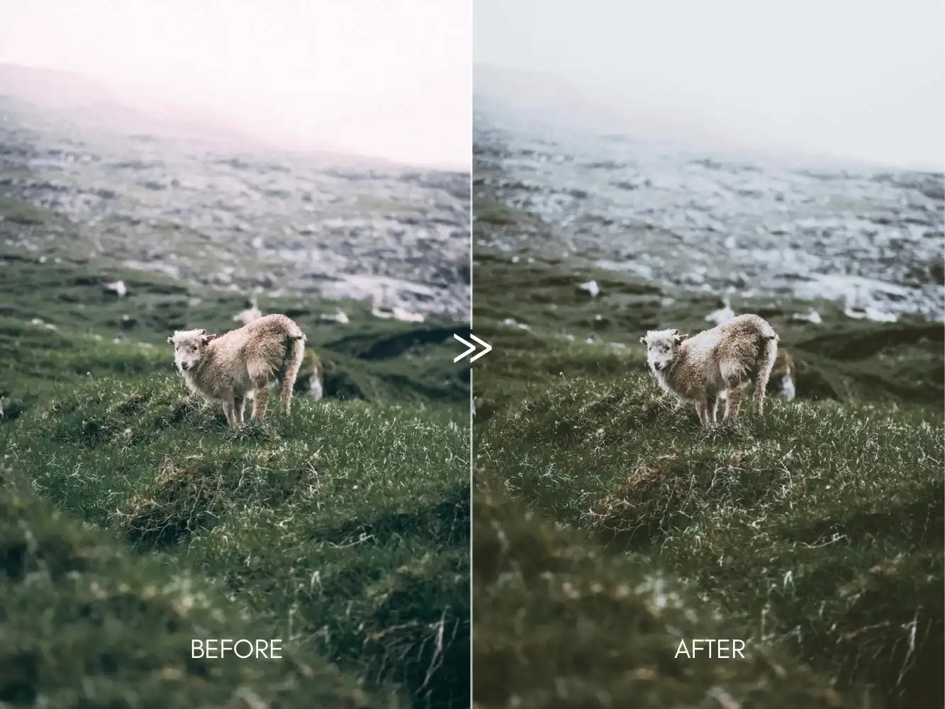 Dark Moods Soft Matte Vsco Film Lightroom Presets 10 dark moods soft matte vsco film lightroom presets 10