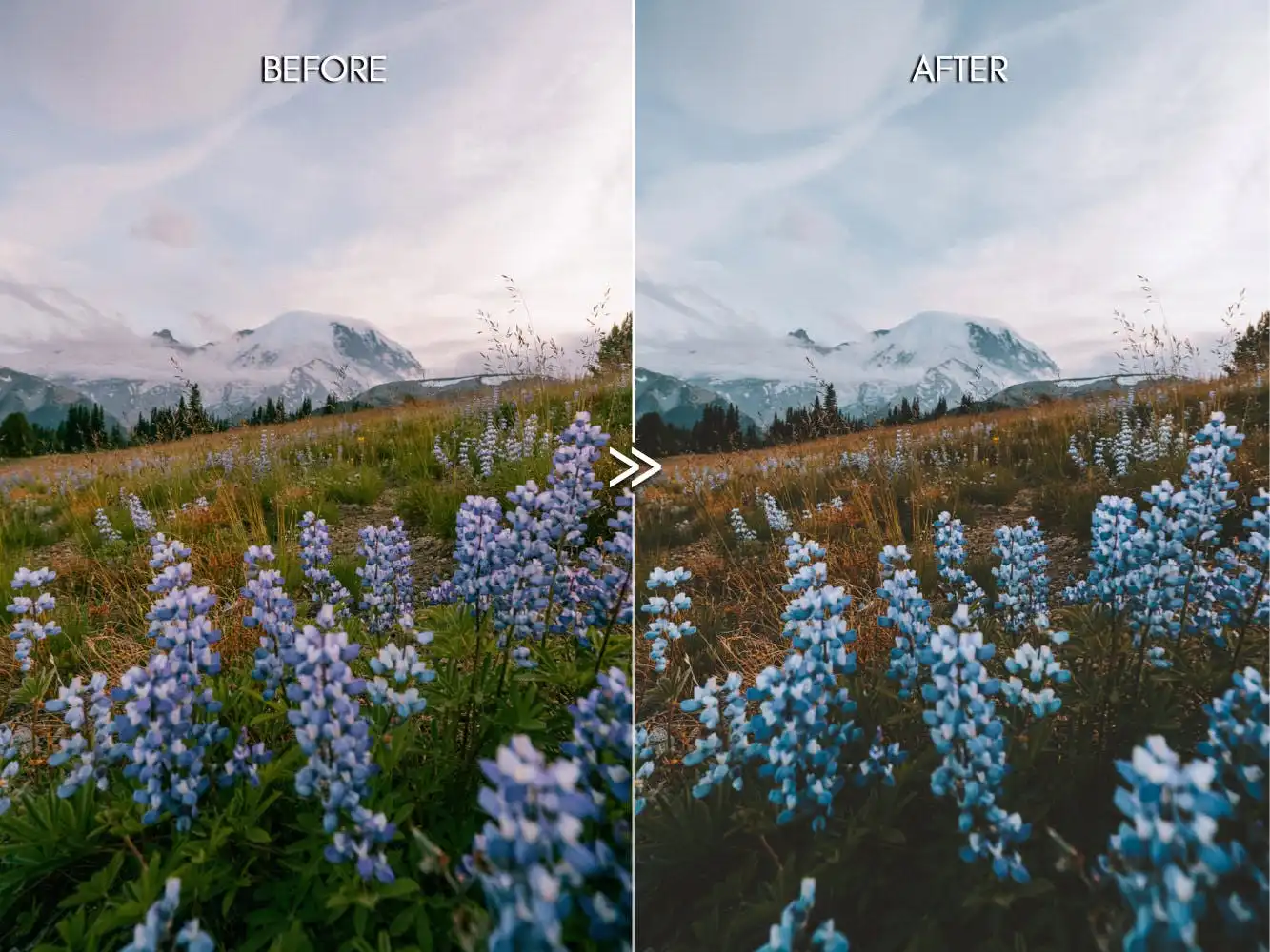 Dark Moods Soft Matte Vsco Film Lightroom Presets 6 dark moods soft matte vsco film lightroom presets 7