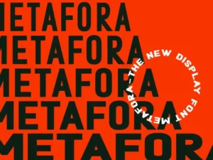 dirtyline studio metafora sans extended latin 2