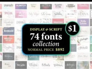 display script font collection