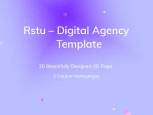 dmsa seo digital agency template1