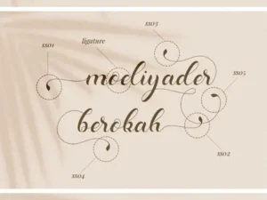 dominica calligraphy font 6