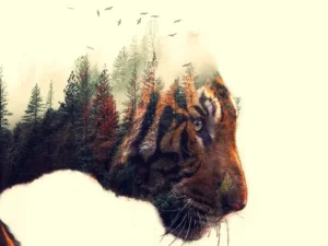 double exposure photoshop action11