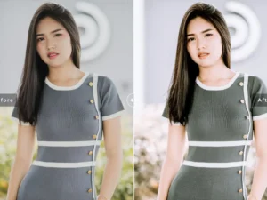 eden mobile desktop lightroom presets 6