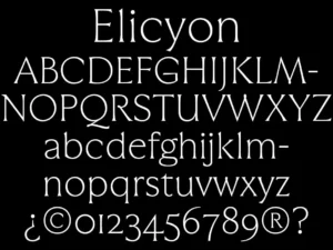 elicyon corporate typeface