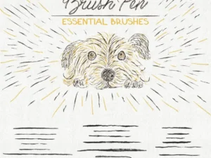 essential vector brushes collection 5