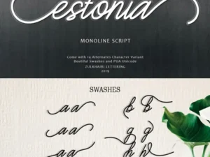 estonia modern calligraphy font