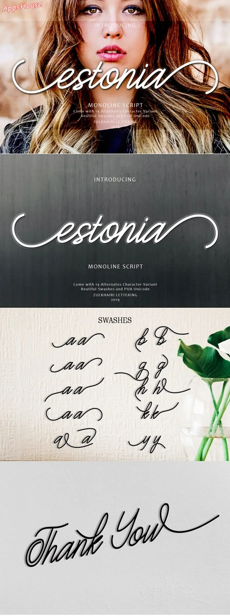 Estonia Modern Calligraphy Font