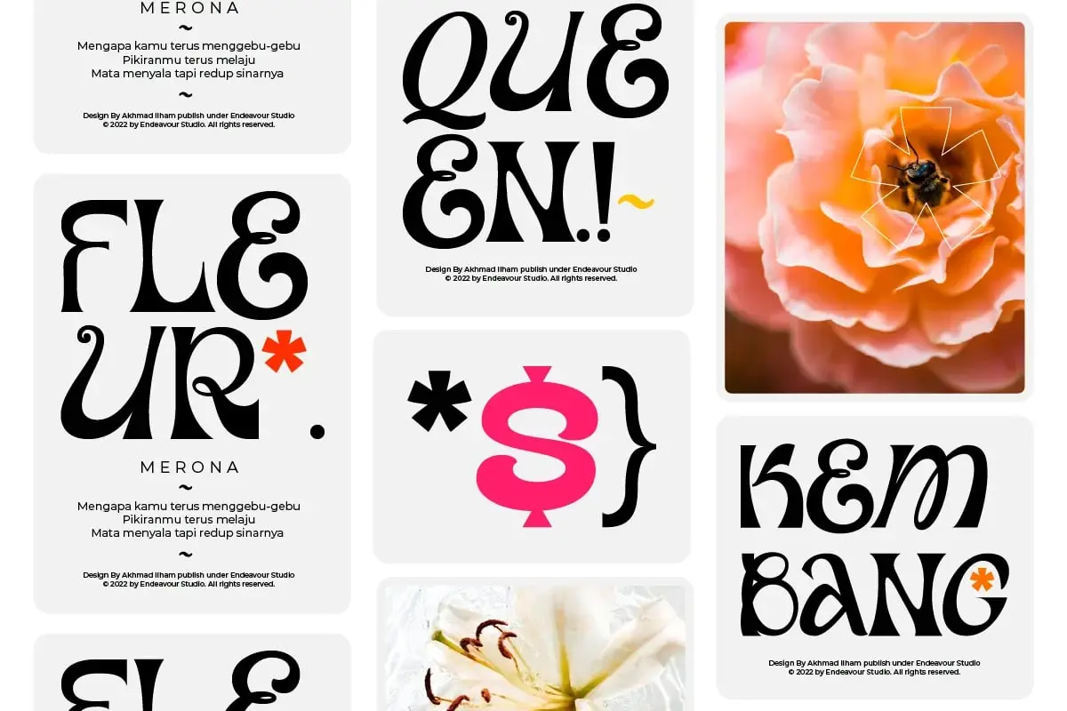 Eureka Serif Display Font By Endeavour Studio 6 eureka serif display font by endeavour studio 4