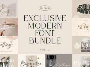 exclusive modern font bundle