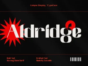ezstudio unique display font aldridge