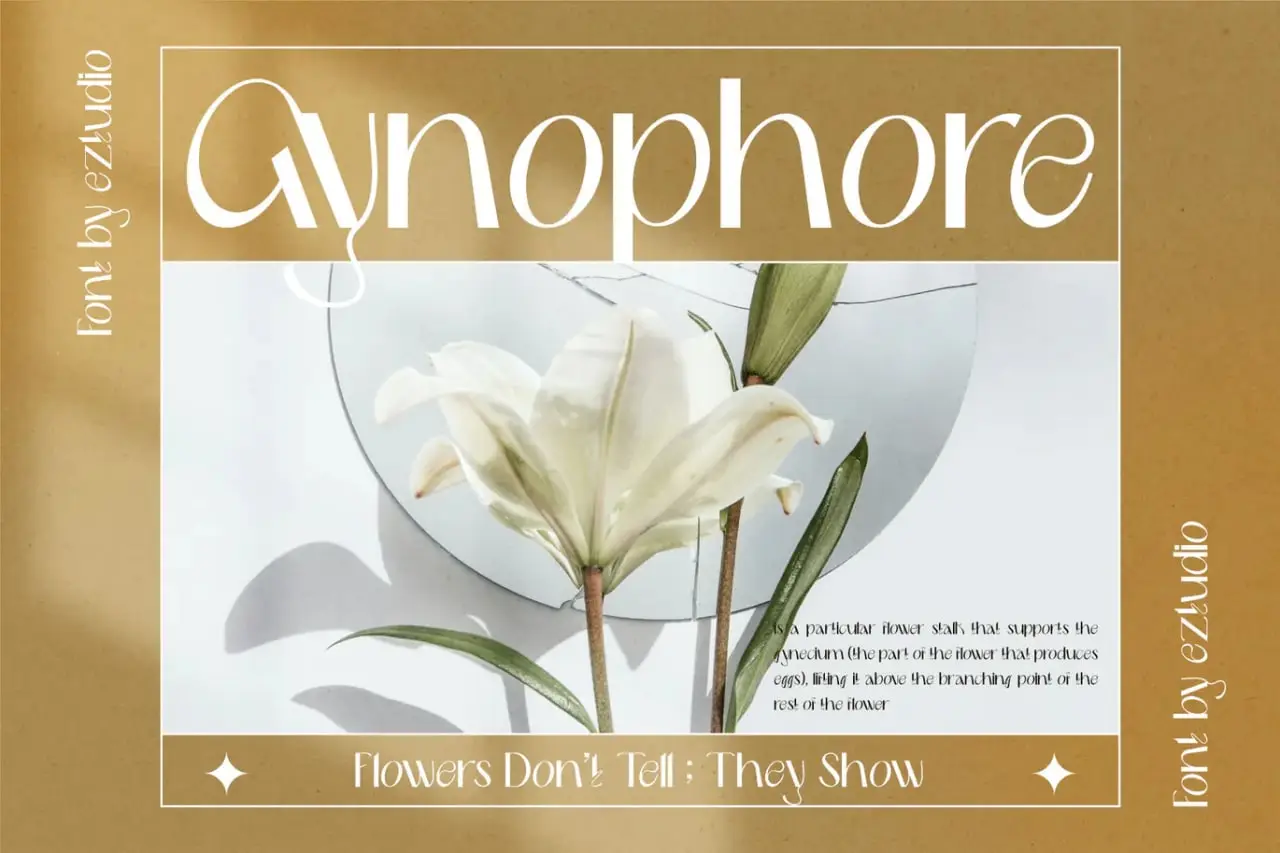 Eztudio Modern & Aesthetic Delmera Font