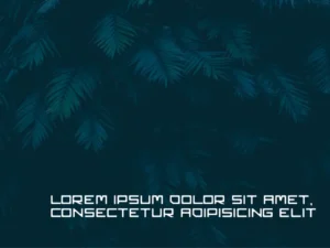 fantags display font 4