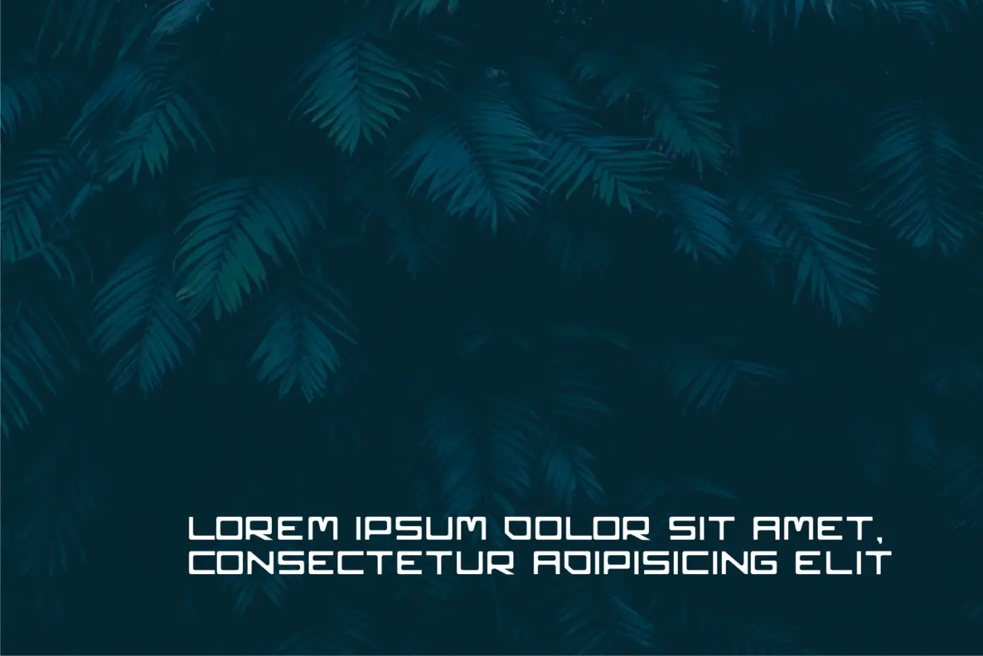 Fantags Display Font