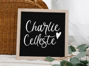 farmstead script font 3