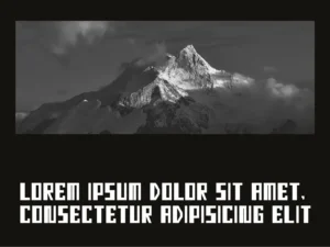 festal display font 3