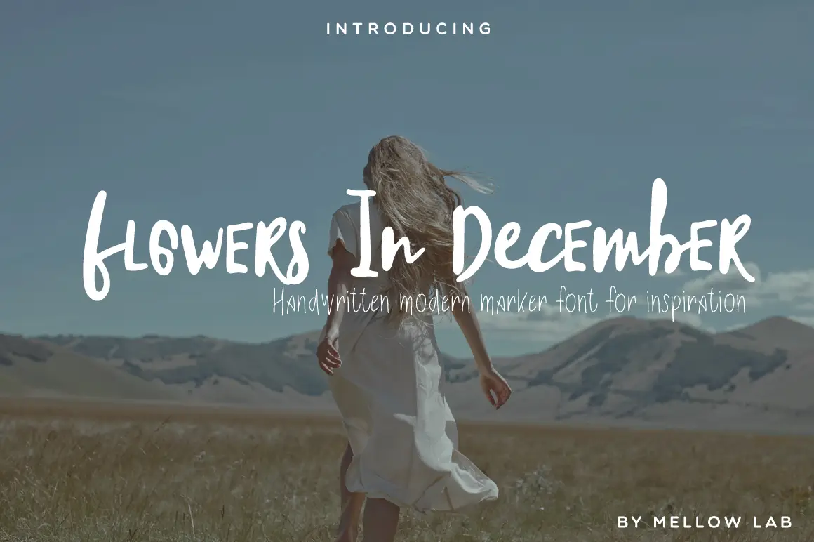 Flowers In December