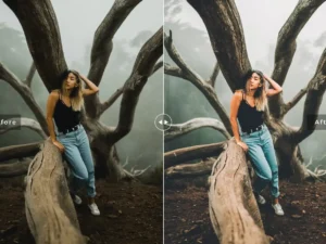 foggy mobile desktop lightroom presets 5