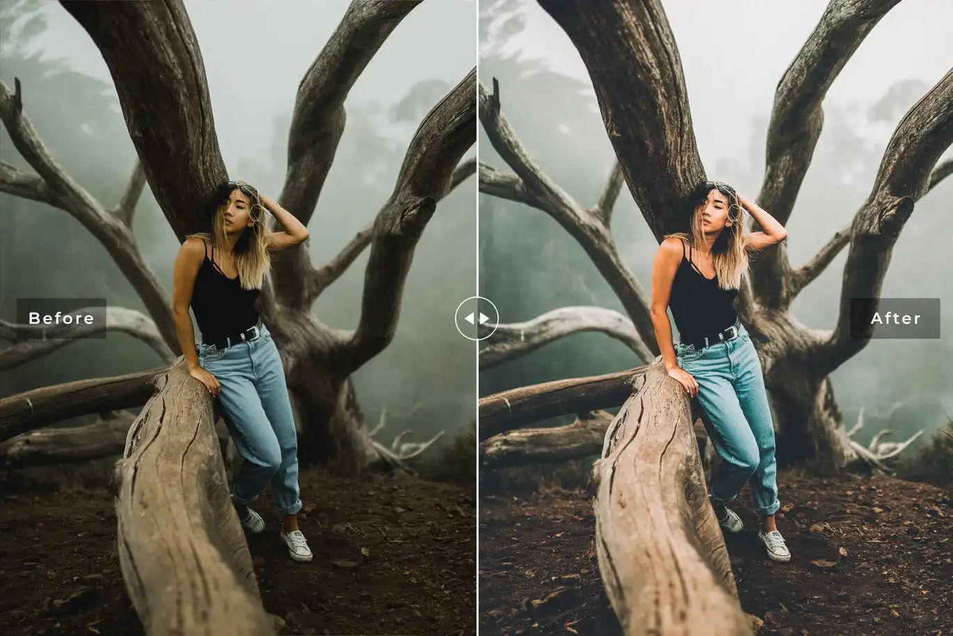 Foggy Mobile & Desktop Lightroom Presets