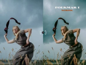 folkmar lightroom presets 6