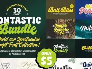 fontastic font script edition bundle