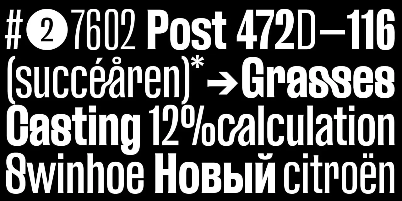 Fud Grotesk Font Cyrillic By Ilya Bazhanov