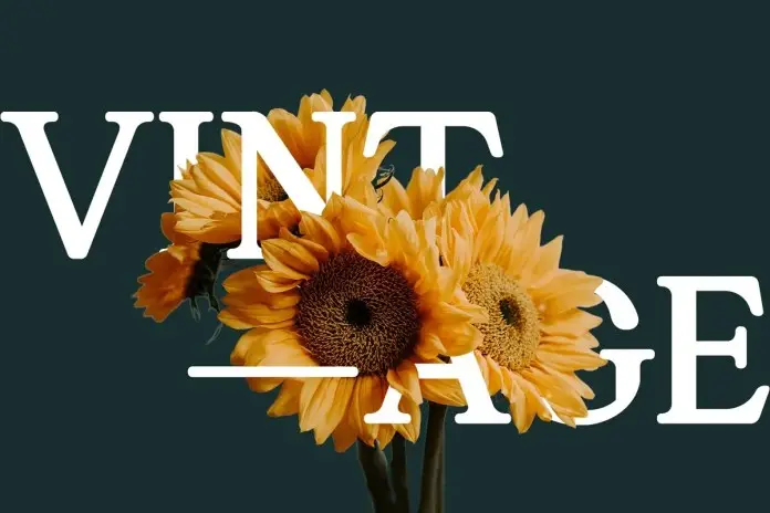Gandia Serif Font 4 gandia serif font 2