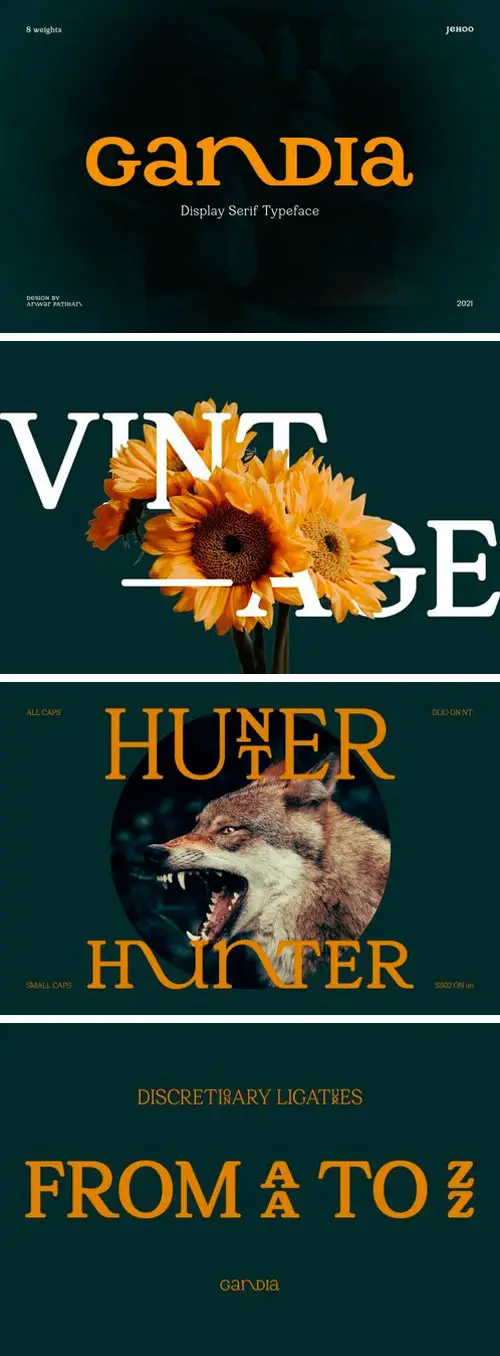 Gandia Serif Font 3 gandia serif font 5