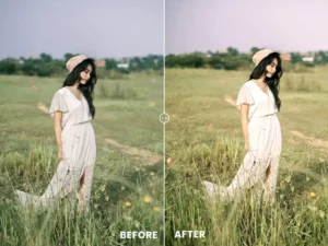 gold tones action lightroom preset 3