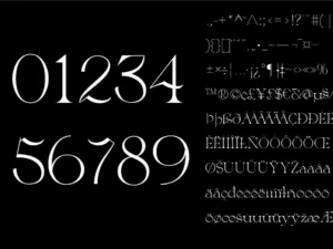 greca modern serif font 2