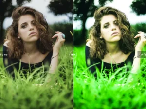green lguana mobile desktop lightroom presets 6