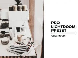 grey mood lightroom preset