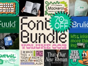 hand picked font bundle 3 1
