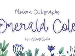 handcraft fonts bundle