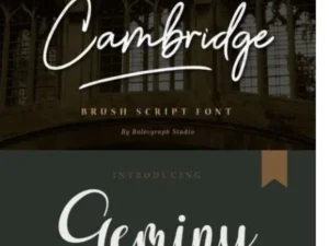 handwritten brush font bundle vol