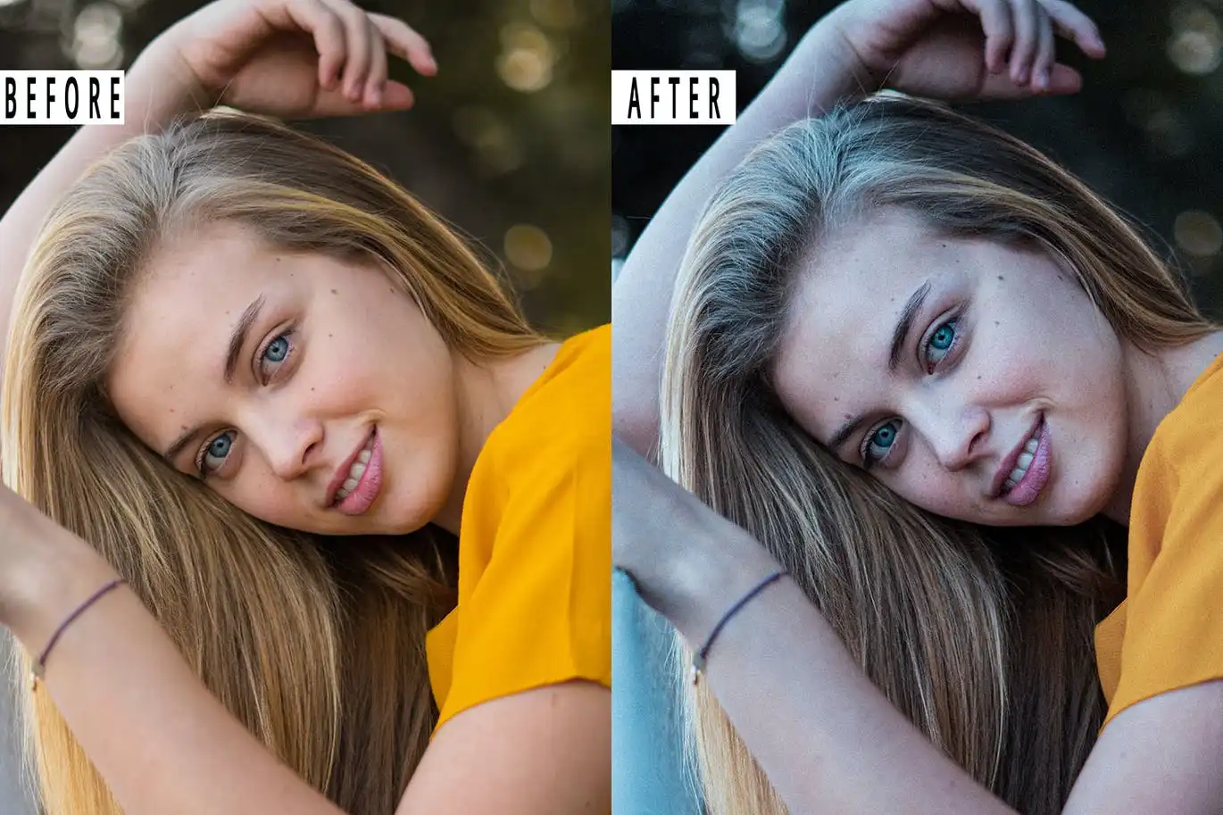 Hdr Portrait Presets Mobile & Desktop